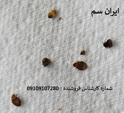 نابودی ساس با سم آلمانی