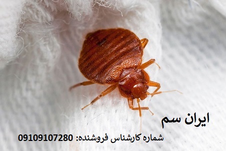 نابودی قطعی با سم آلمانی شرکت ایران سم